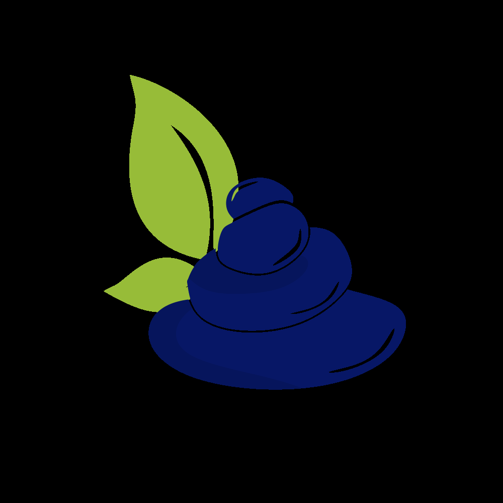 Nicolas Lacroix-Pepin Massothérapeute - Logo