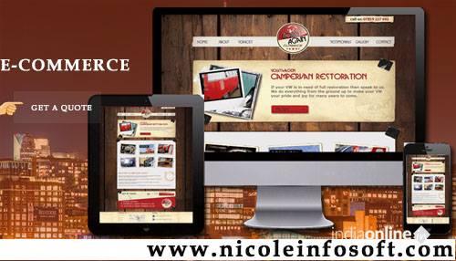 Nicole Infosoft - Cover photo
