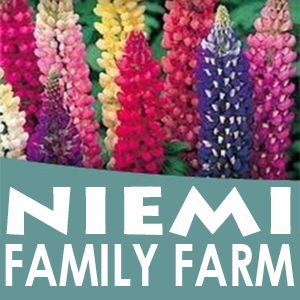 Niemi Family Farm - Logo