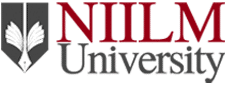 NIILM University - Logo