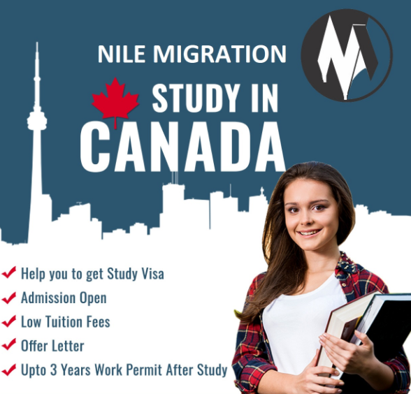 Nile Migration - Cover photo