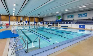 Nisha Millets Swimming Academy - Logo