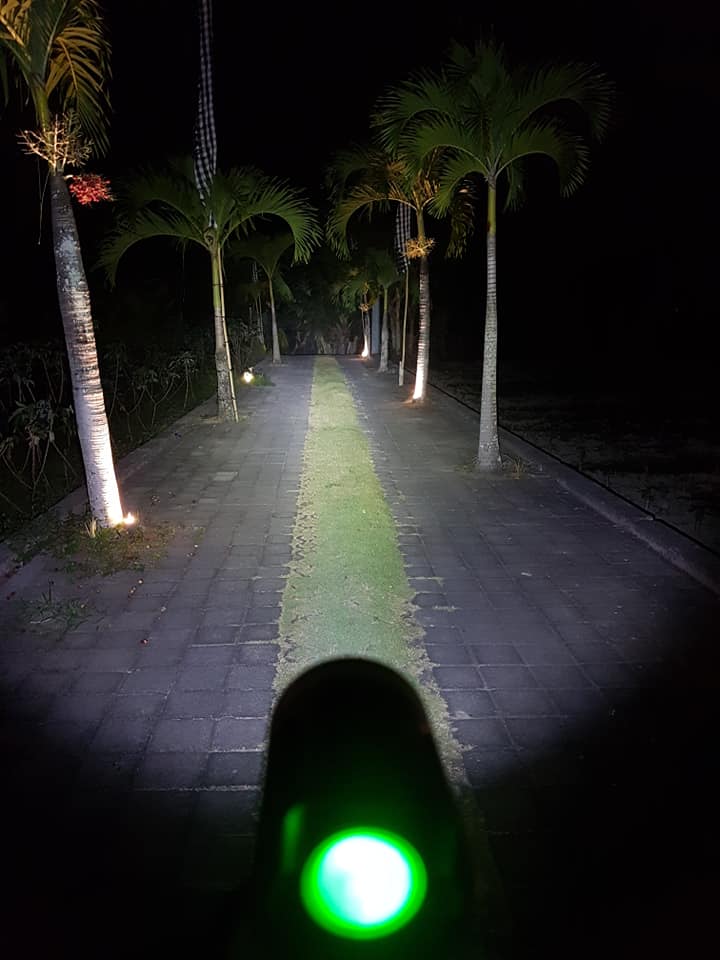 Nitelights Australia - Cover photo