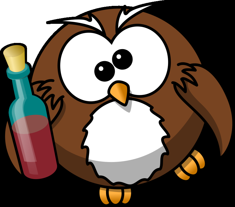 Niteowl PC Fixit - Logo