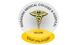 NMC Nellore (NMC) - Logo