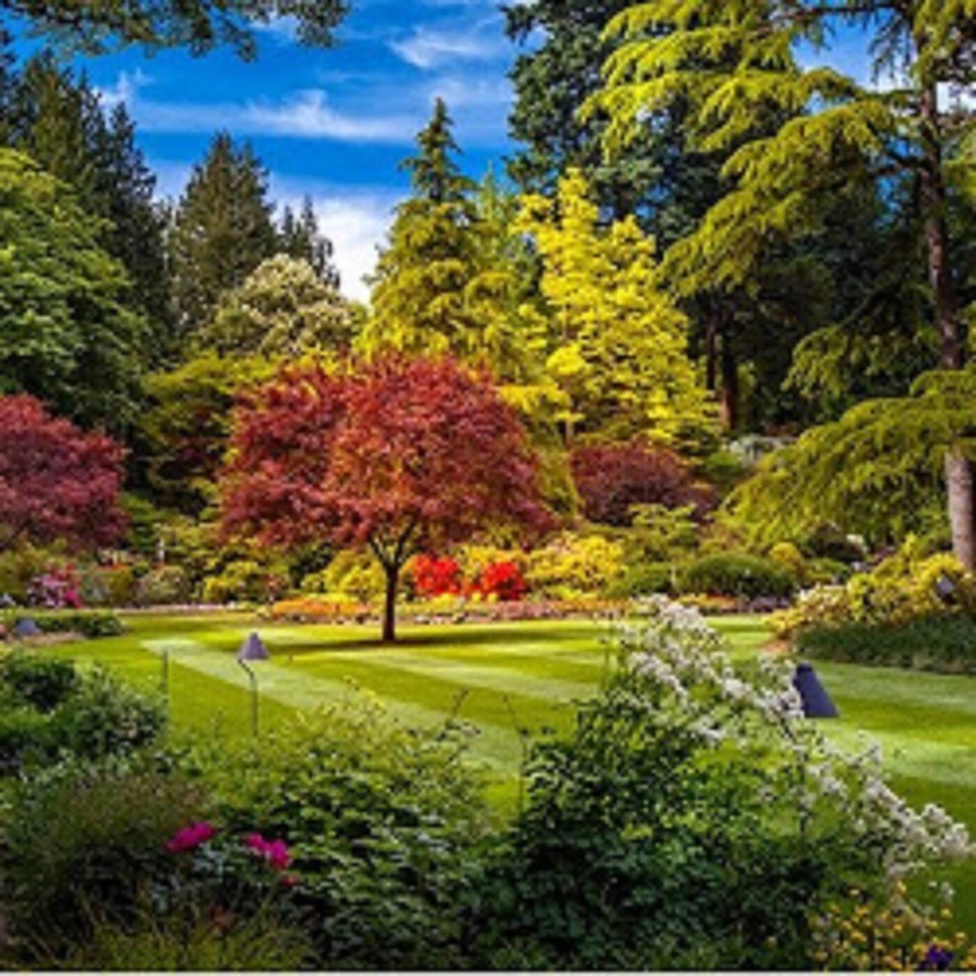 N M W Mowing Services - Cover photo