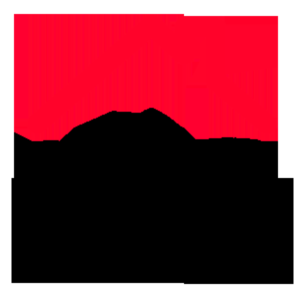 No.1 Safety Roofing - Logo