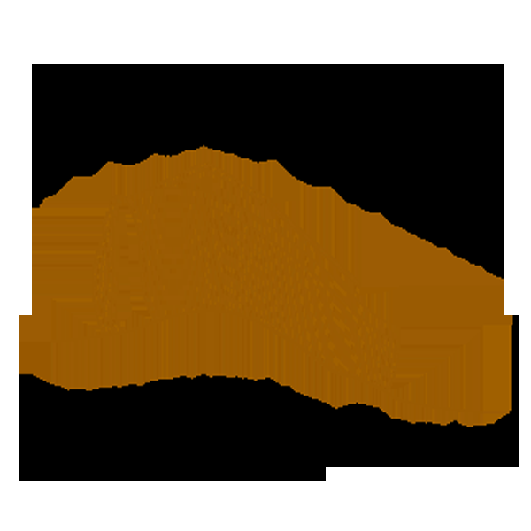 Noahs Ark Community Center - Logo