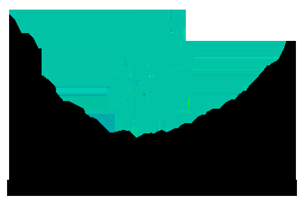 Noel Meunier Services Financiers - Logo