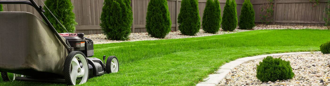 No Mow Worries - Cover photo