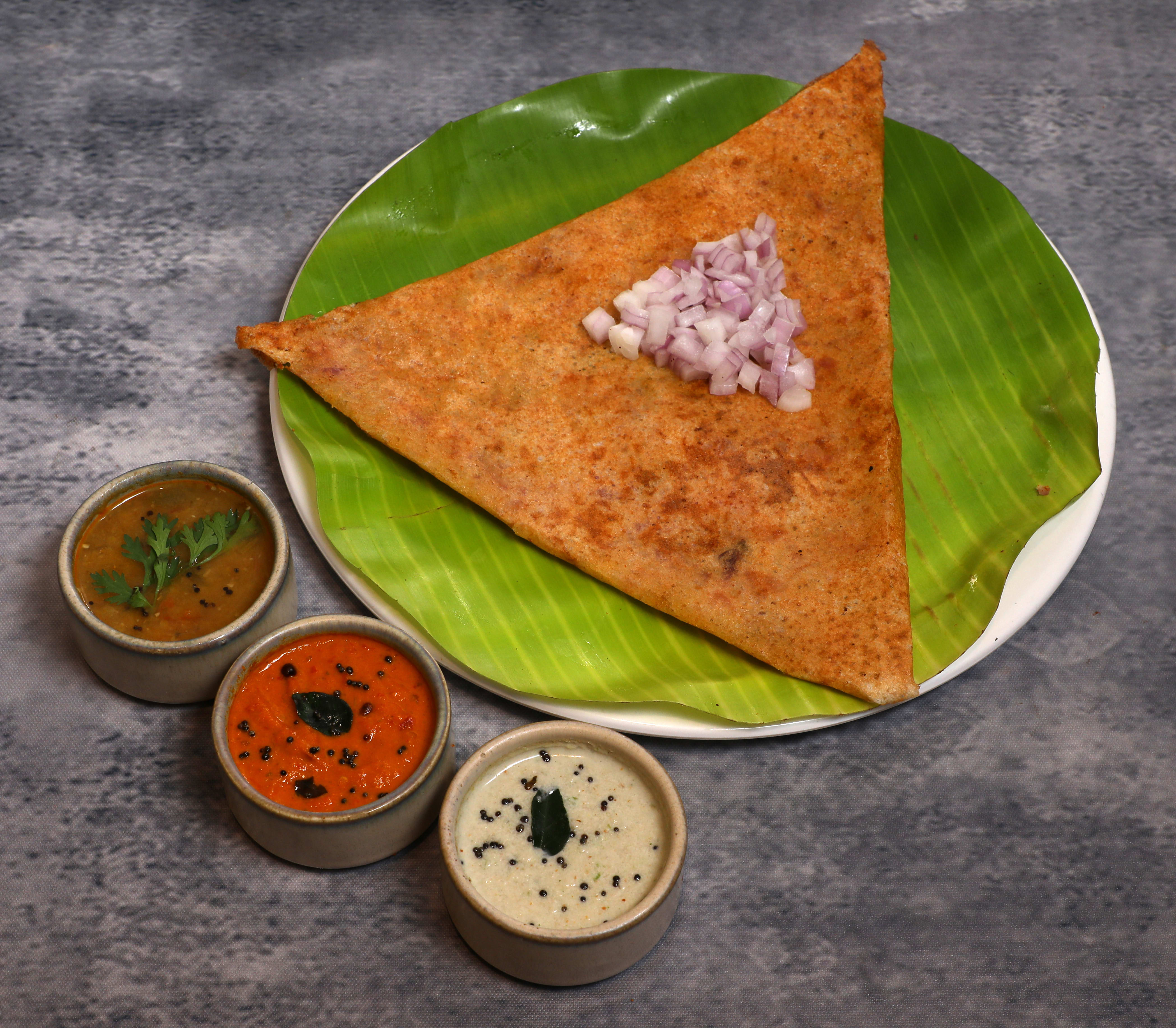 Non Veg Dosa House - Logo
