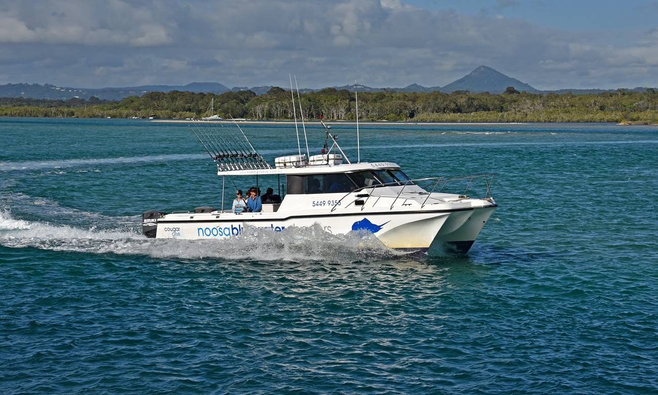 Noosa Blue Water Charters - Logo