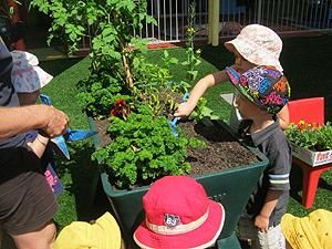 Noosa Early Learning - Logo