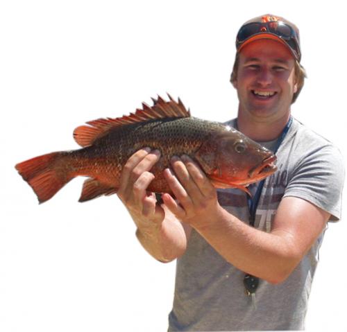 Noosa Fishing & Crab Adventures - Logo