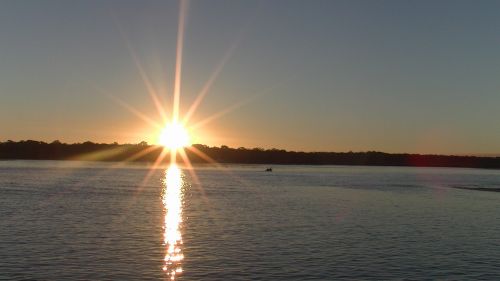 Noosa River & Canal Cruises - Cover photo