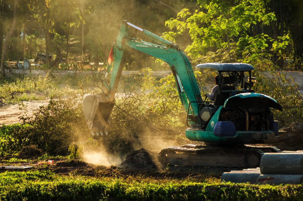 Norm & Vicki Delaforce Backhoe Hire - Logo