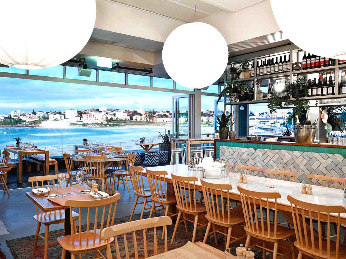 North Bondi Fish - Logo