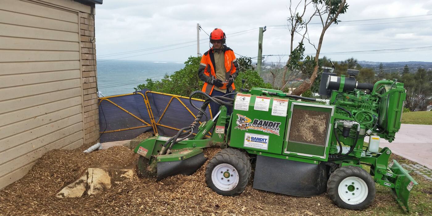 Northern Beaches Stump Removal - Logo