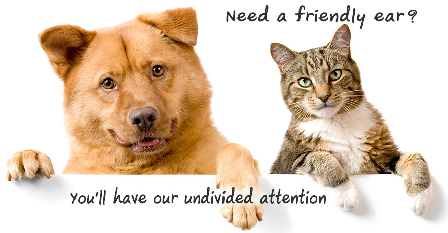 Northern Frontiers Mediation - Logo