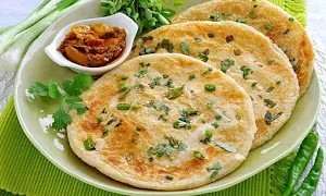 Northern Paratha - Logo