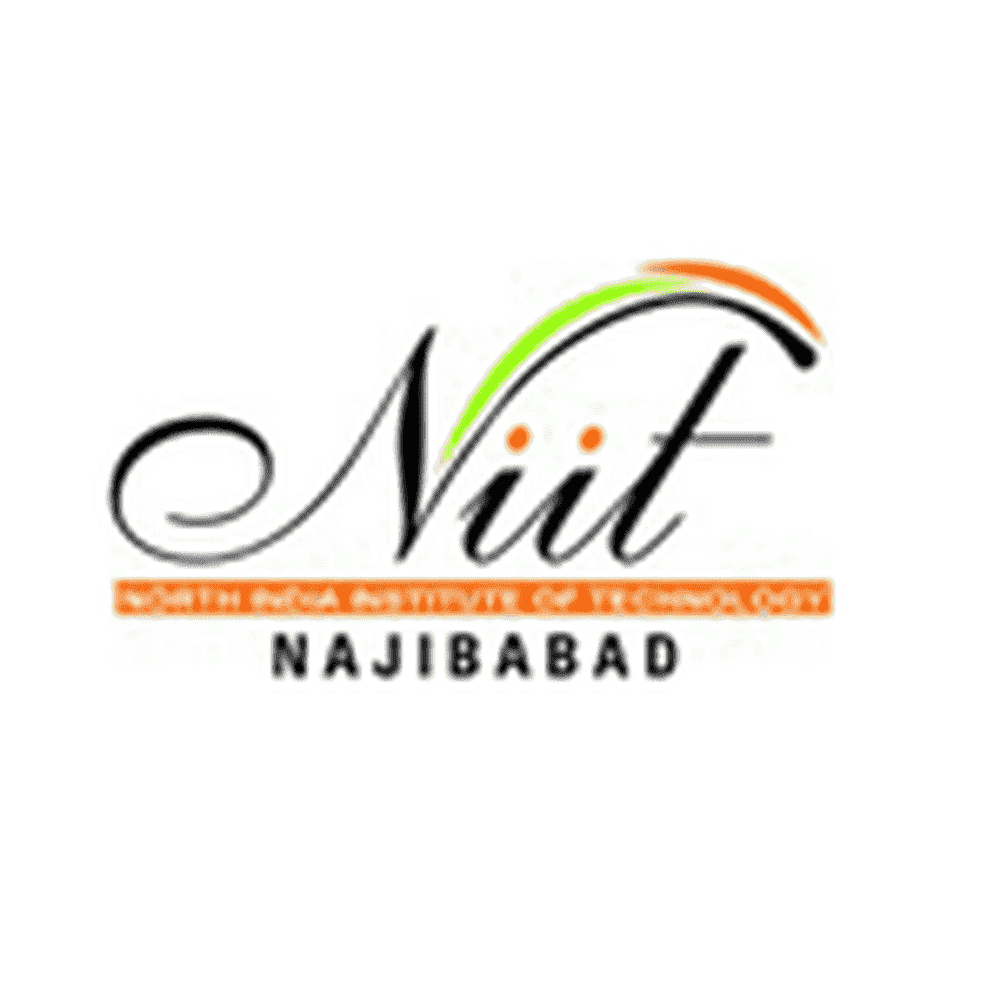 North India Institute of Technology (NIIT) - Logo