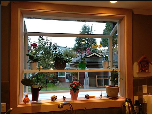 North Shore Windows - Cover photo
