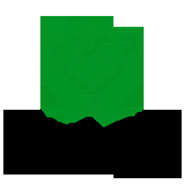 North Star Solar Wind Energy Ltd - Logo