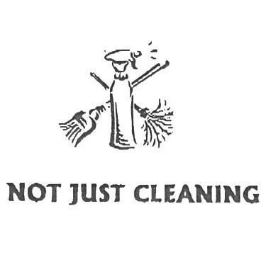 Not Just Cleaning - Cover photo