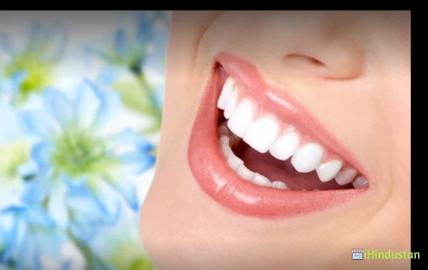 Novel Dental Clinic - Logo
