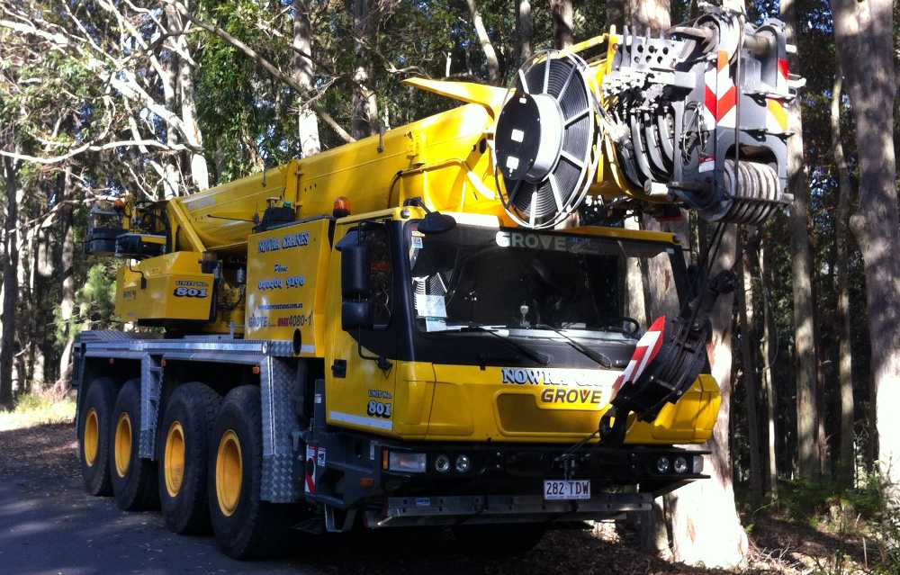 Nowra Cranes - Cover photo