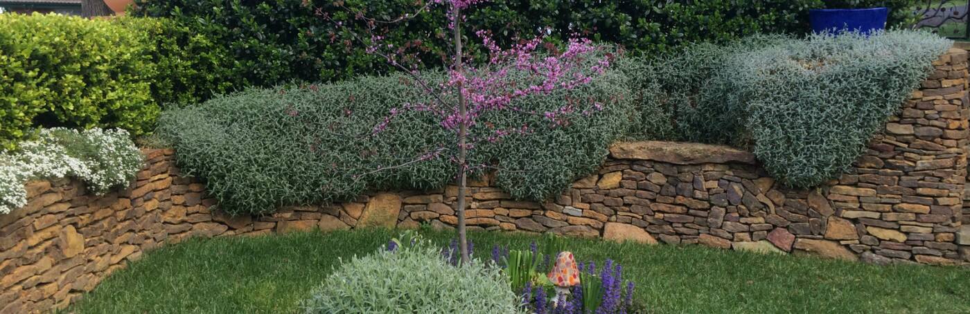 Now & Zen Landscapes Pty Ltd - Cover photo
