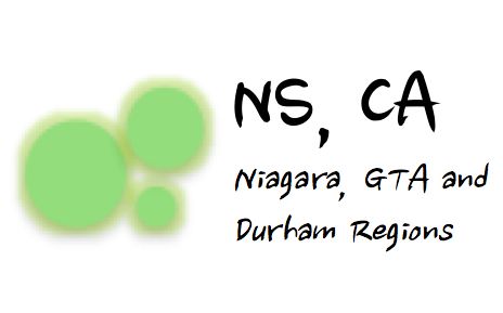 NS Chartered Accountant - Logo