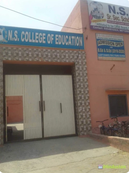Ns Group Of Institutions - Logo