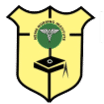 NSMS Nursing Institute (NSMSNI) - Logo