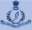 NSNIS Patiala (NSNIS) - Logo