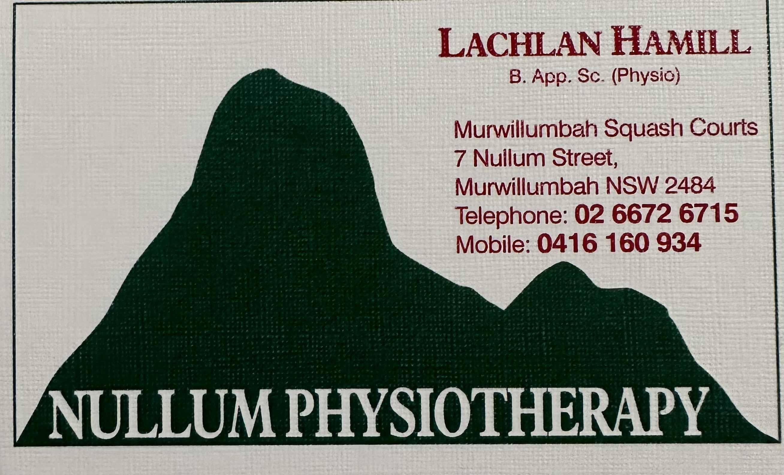 Nullum Physiotherapy - Logo