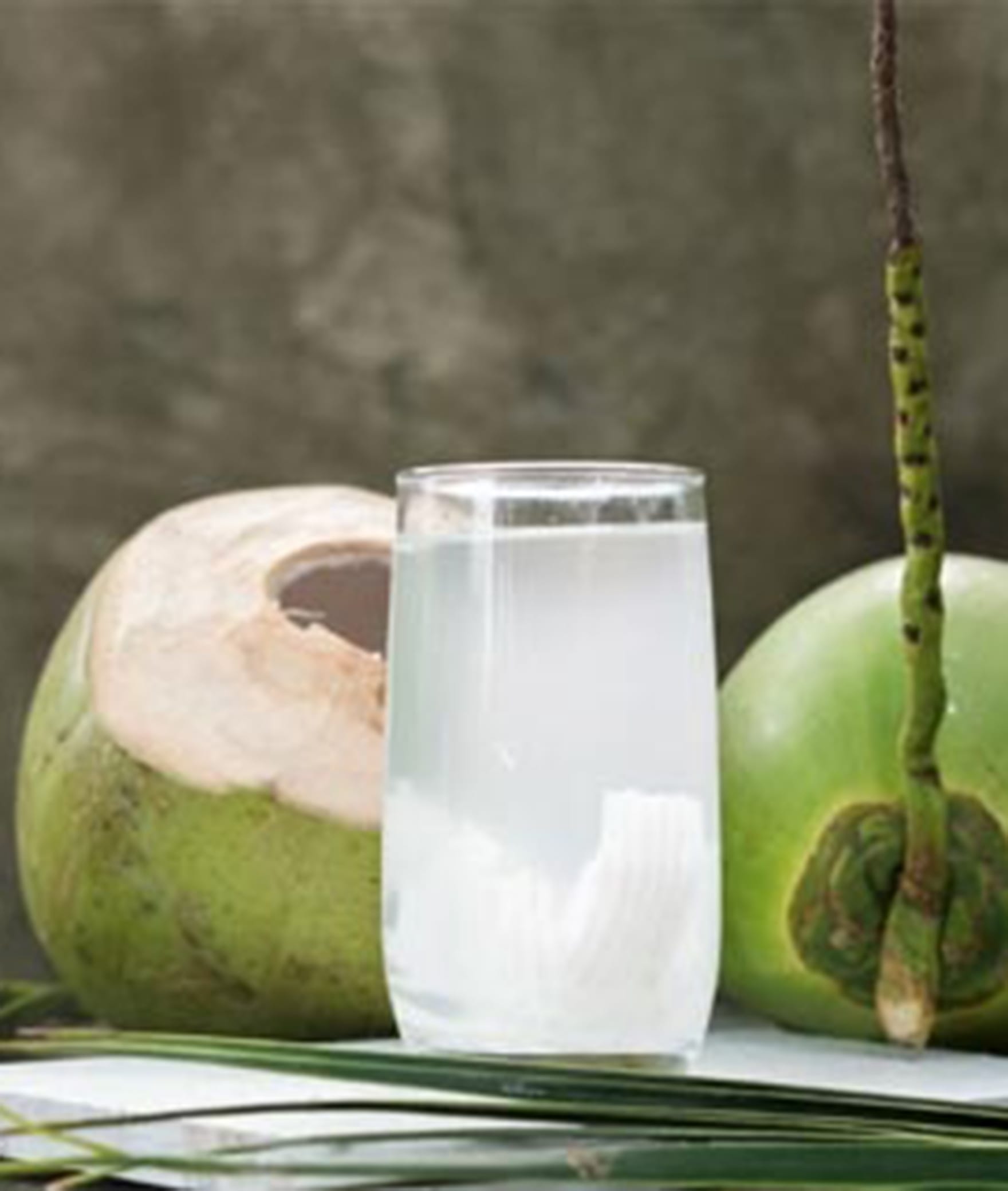 Nungu Elaneer ( Palmy Tender Coconut ) - Logo