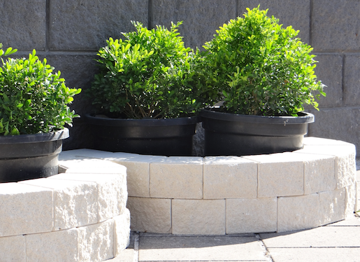 Nuway Landscape Supplies Pavers & Walls Ashmore - Logo