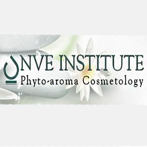 NVE Institute - Logo