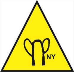Nyson Packers 249329 - Logo