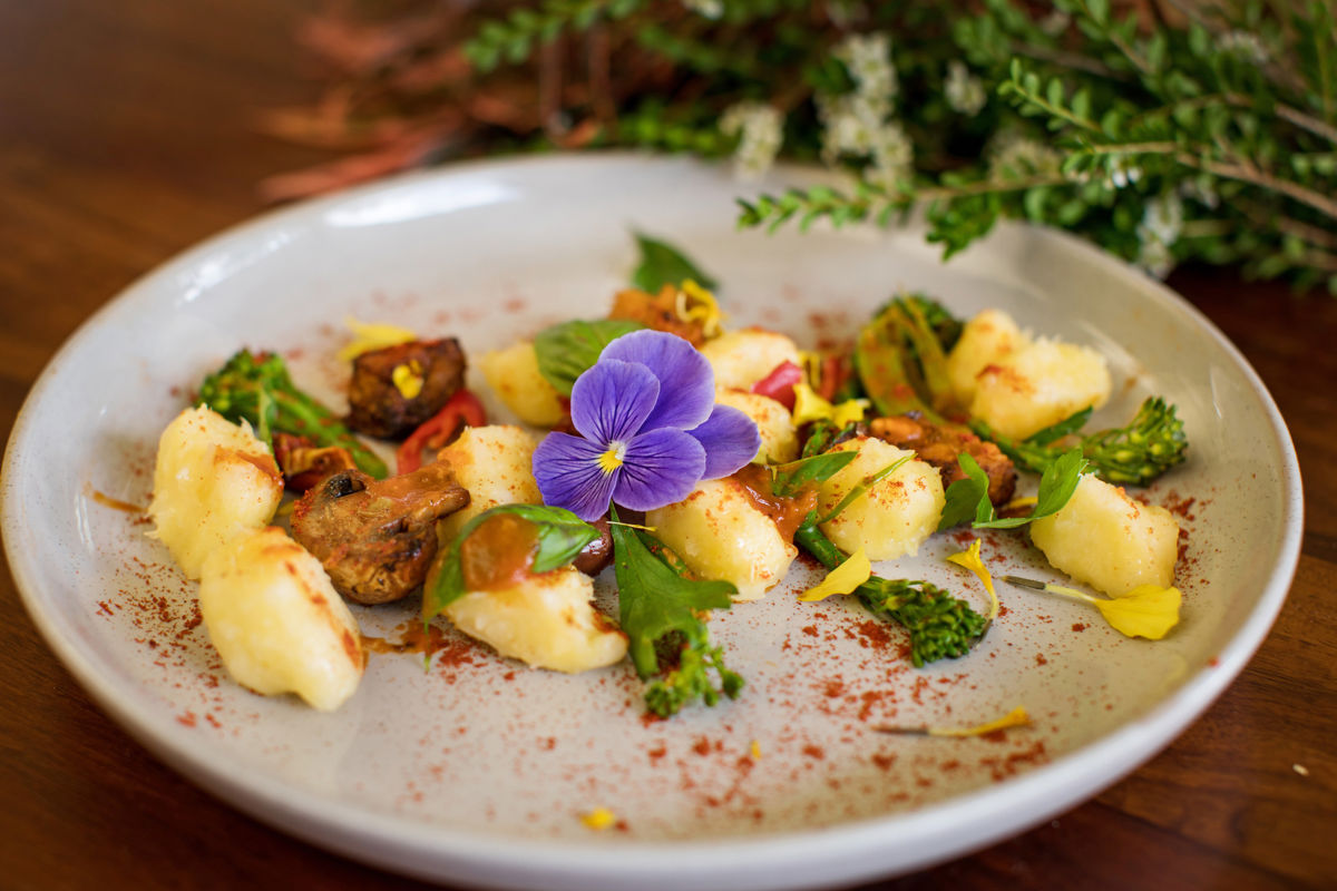 OCA Organic Cuisine & Arts - Logo