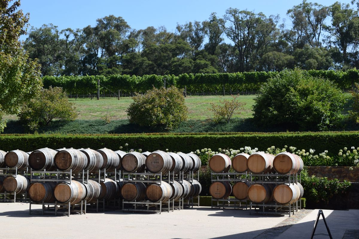Ocean Eight Vineyard and Winery - Logo