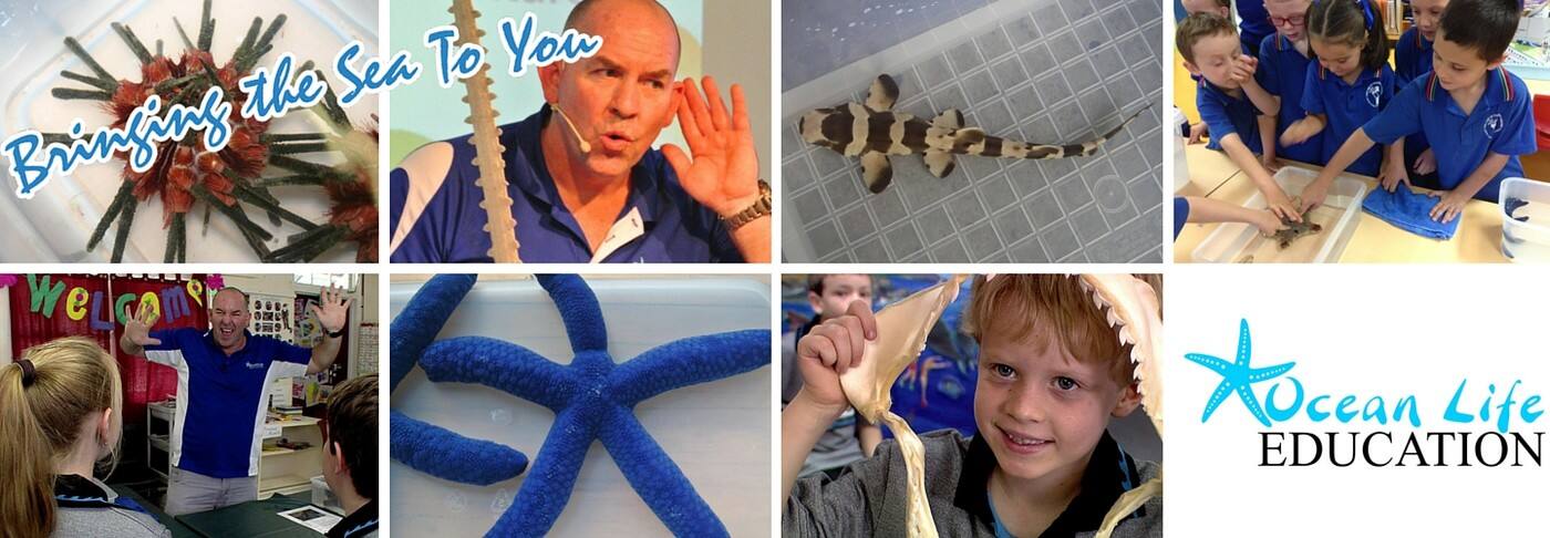 Ocean Life Education - Cover photo