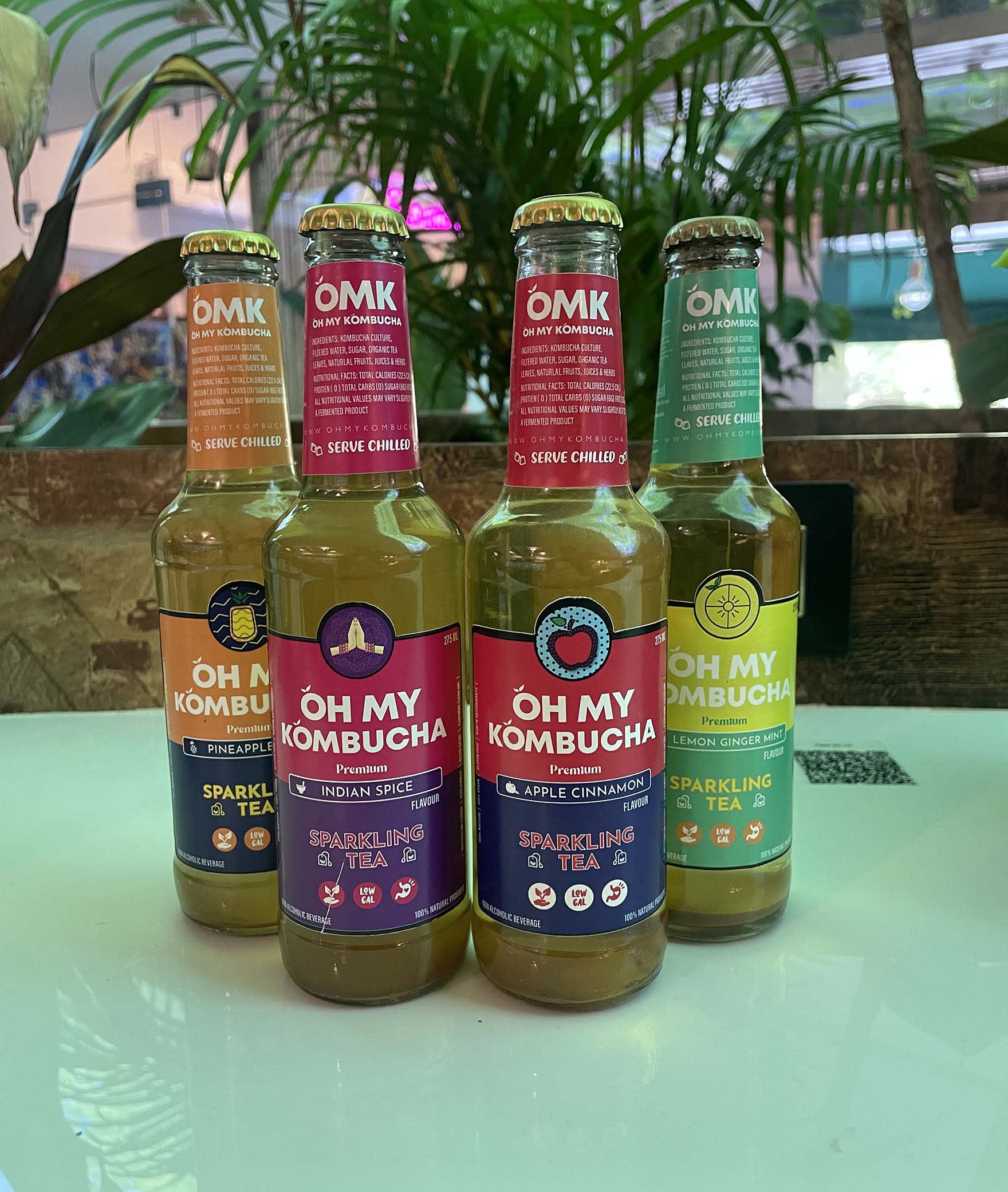 Oh my kombucha - Logo