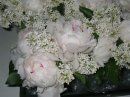 Oleander Floral Design - Cover photo
