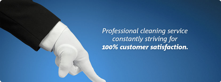 Olga Shiny Cleaning - Logo