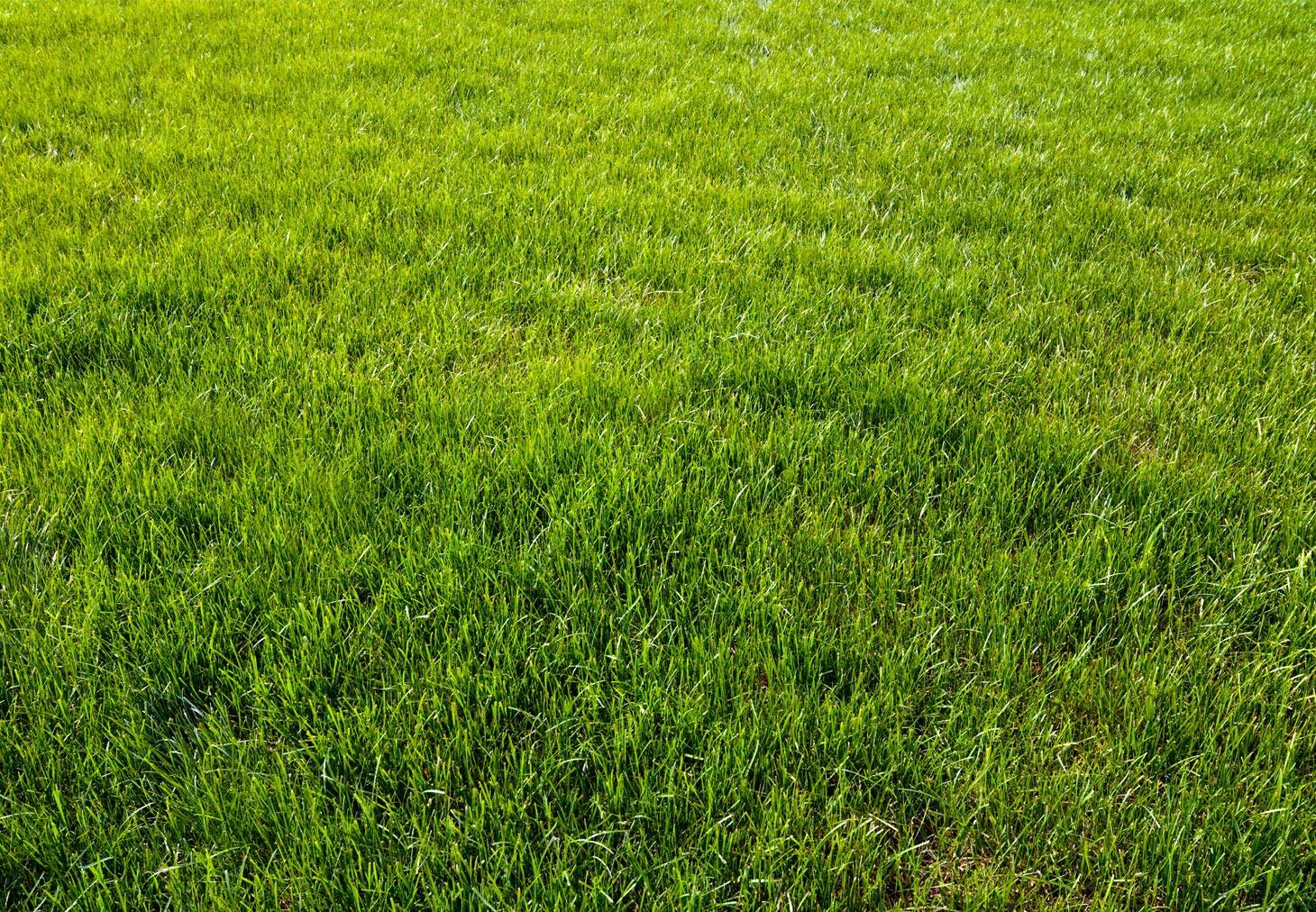 Oliver and Kate's Garden Care Service - Cover photo