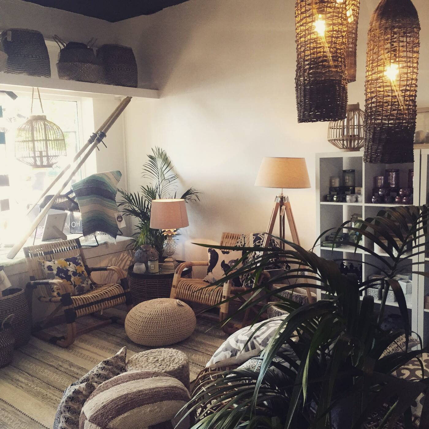 Ollie At Home - Cover photo