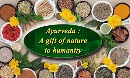 Om Ayurvedic Store - Cover photo