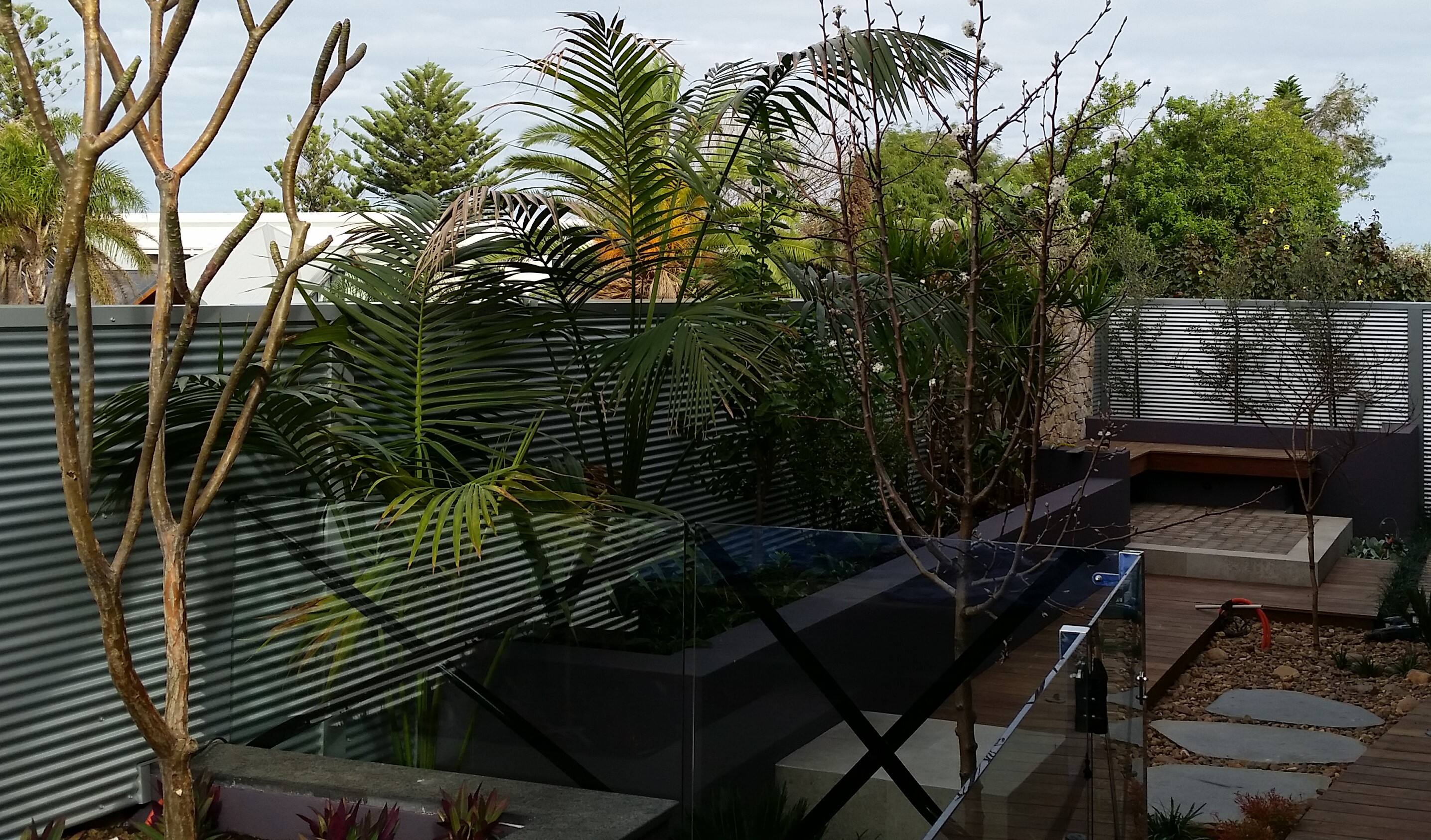 On Roofs - Cover photo